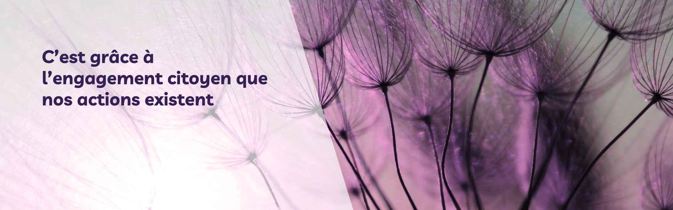 contactez Graines d'avenir